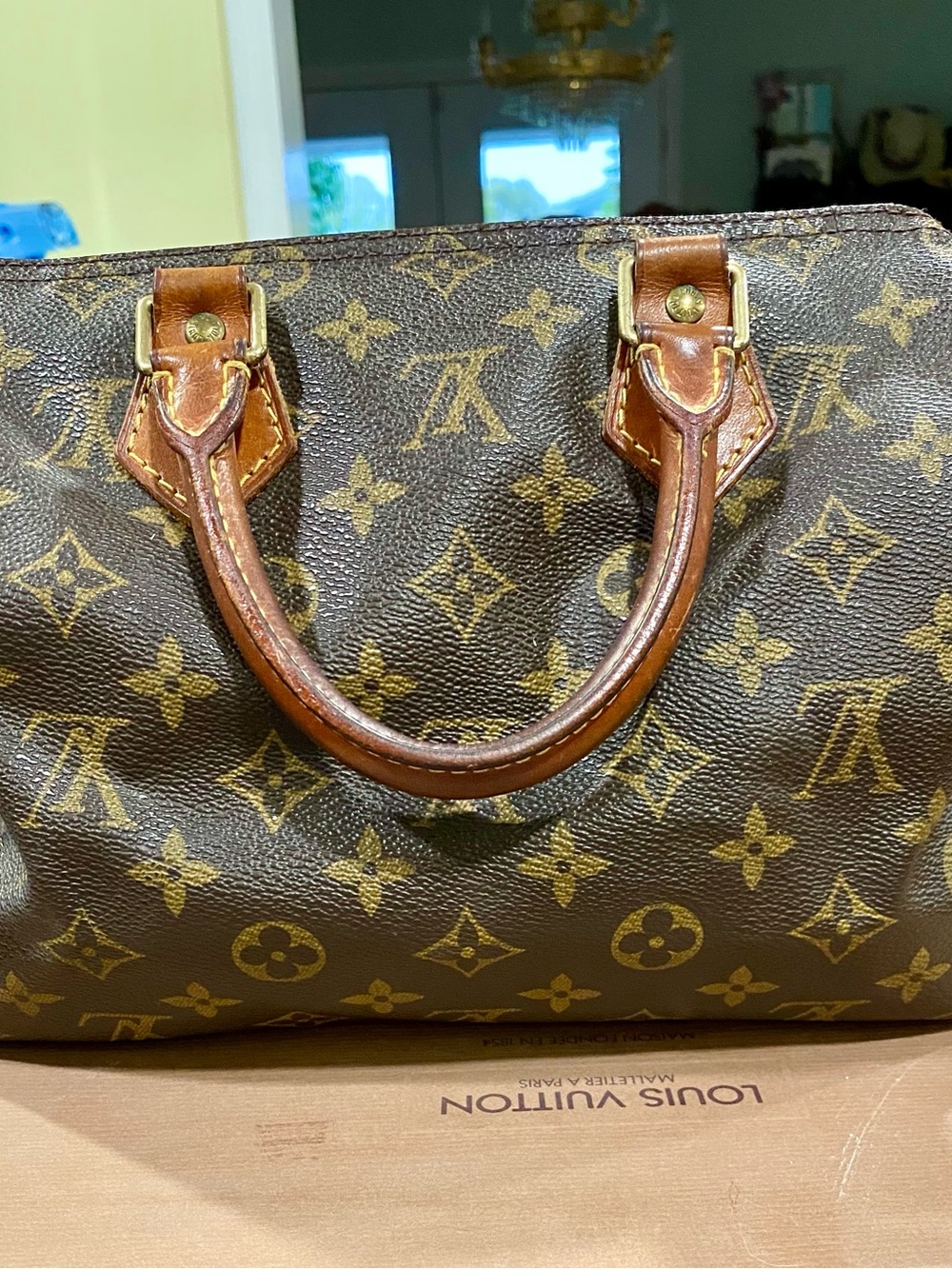 Louis Vuitton Monogram Canvas Satchel in Brown and Gold